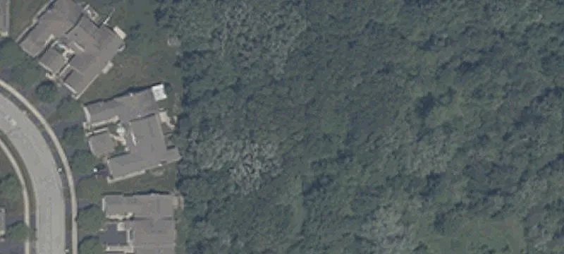 Pt Of 413th Us