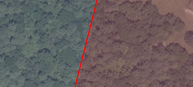 18505 550th E
