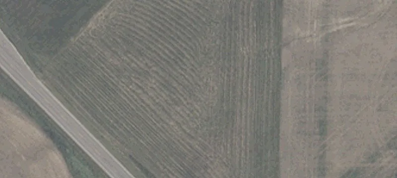 State Rd 558