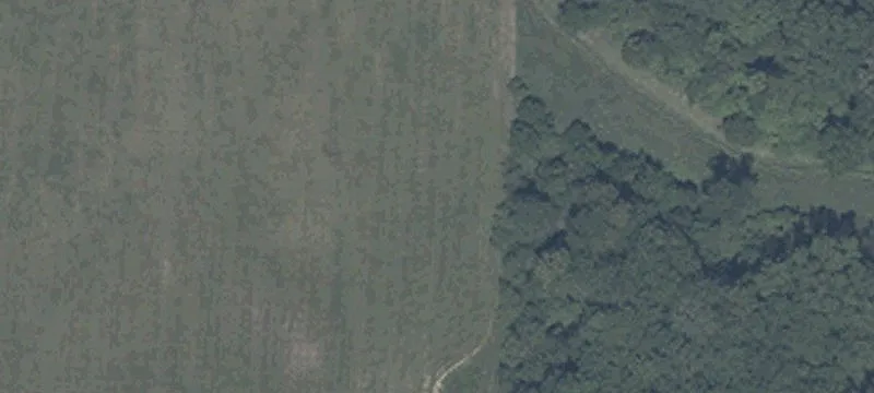 42 Cr
