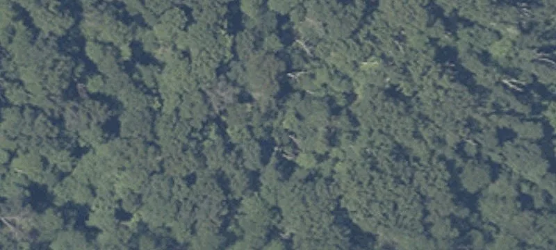 Bear Crk Rd