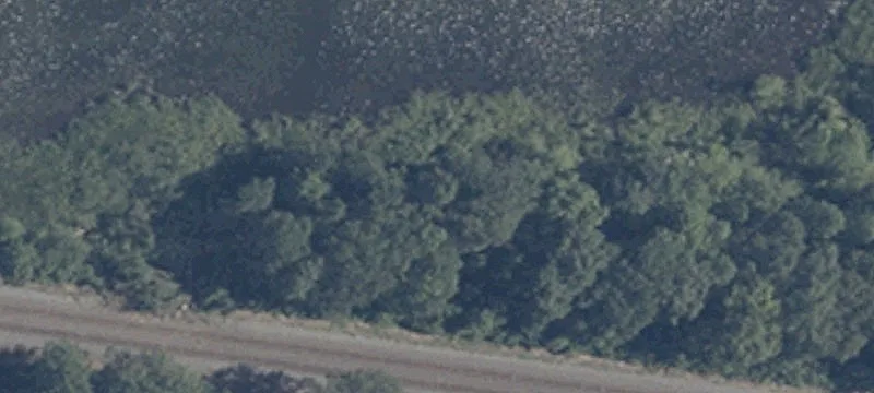 Cornelius Rd