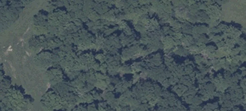 Woodland Rd