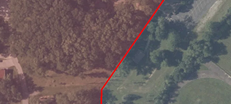 Cardinal Ct