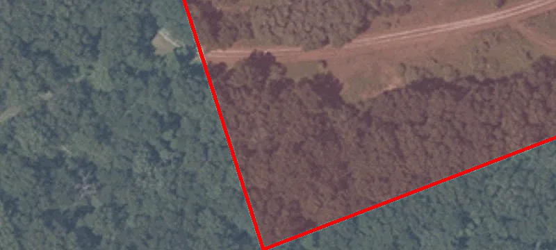 Ss 1st Line Rd