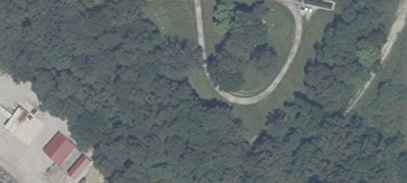 Primrose Dr