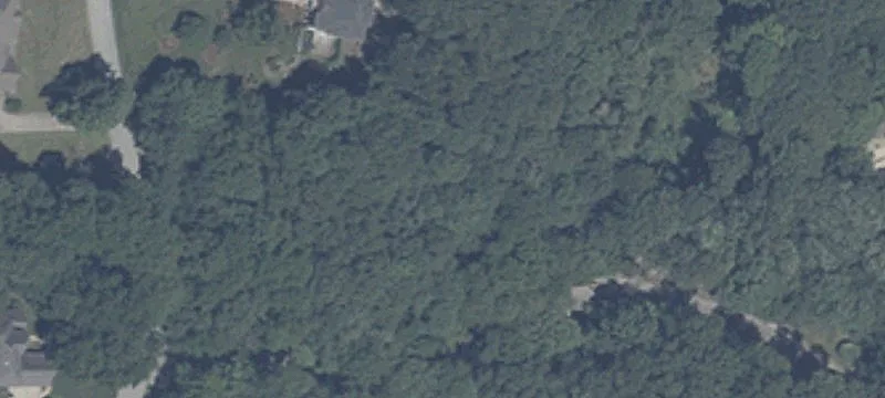 Shafer Dr