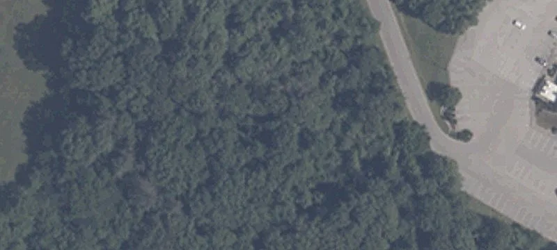 State Rd 56