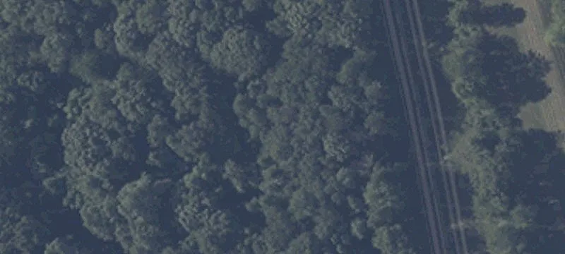 Woodland Ct