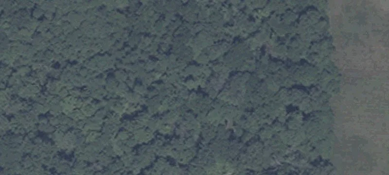 10528 700th W