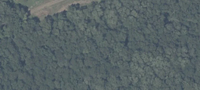7808 1st Line Rd