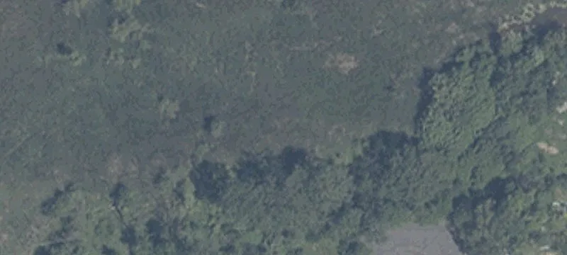 Ww Ml St