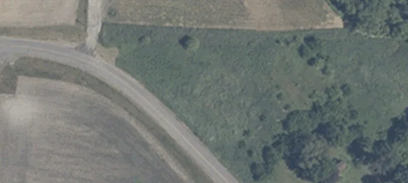 Mangus Dr