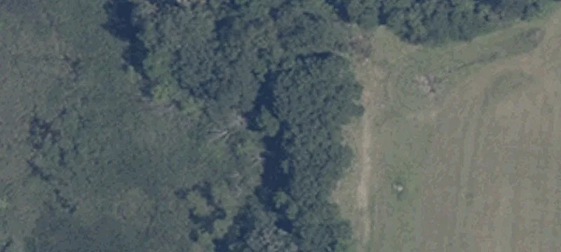 Warner Rd