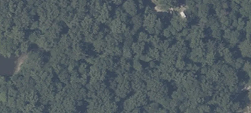 Mitten Rd
