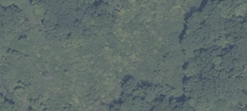Ln 250th Lk Gage
