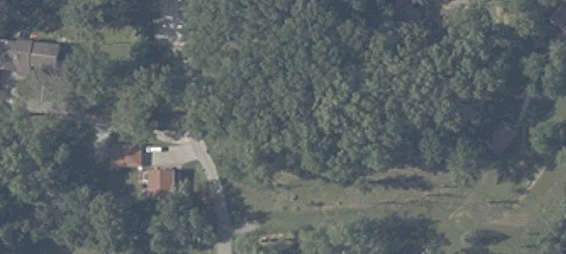 Cardinal Ct