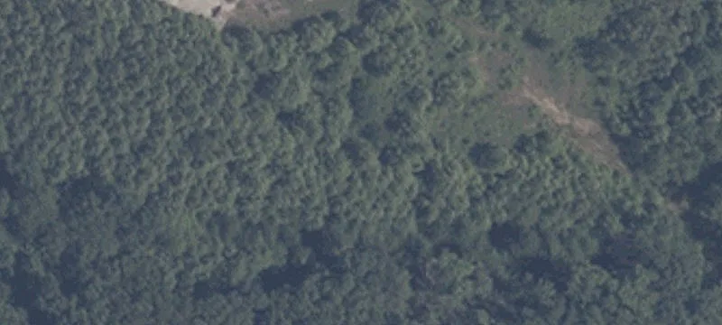 State Rd 56