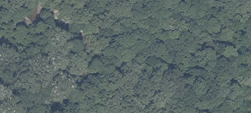 Coldwater Rd