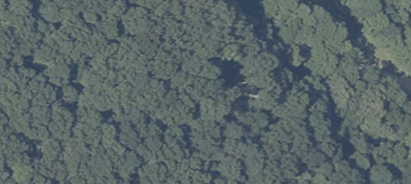 Bear Crk Rd