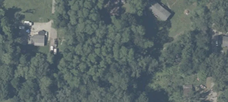 Poplar Ln