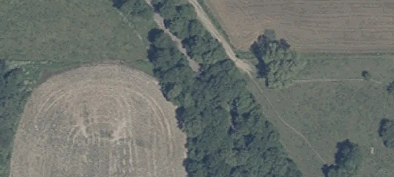 Jacksonburg Rd
