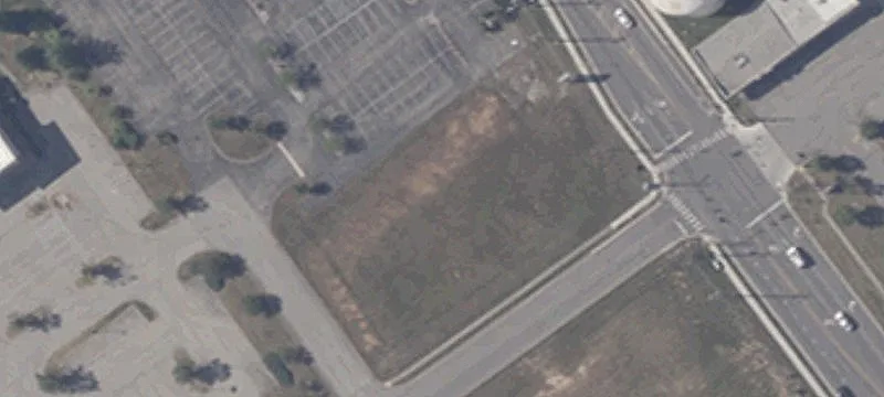Peach Blossom Dr