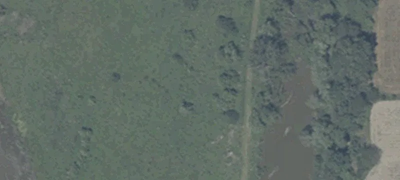 Mud Pike Rd