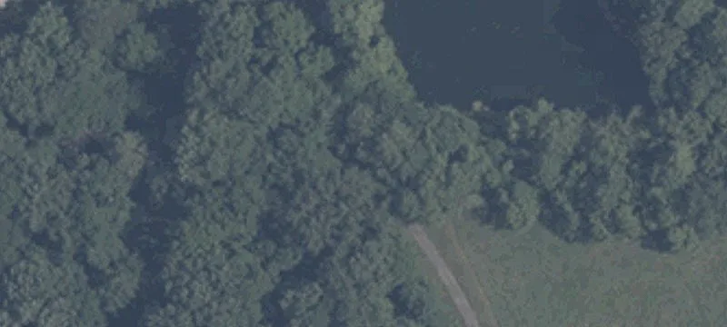 State Rd 54