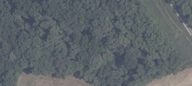 State Rd 545