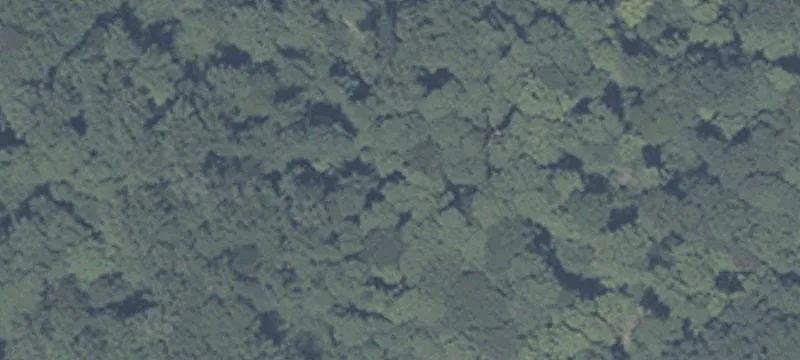 Hamburg Rd