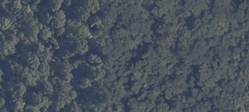 Hogan Rd