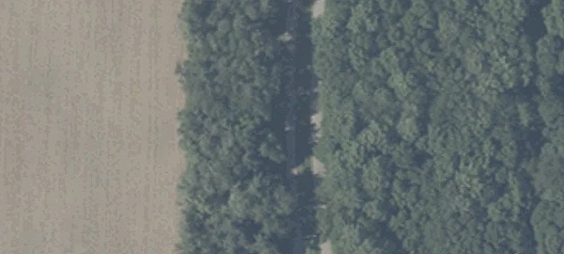 Timothy Rd