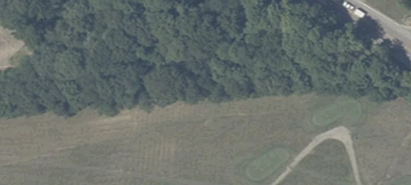 299 Johnson Rd