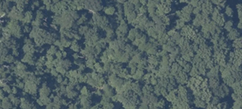Bear Crk Rd