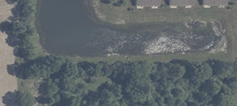 Spicewood Dr