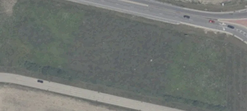 Settlement Trce