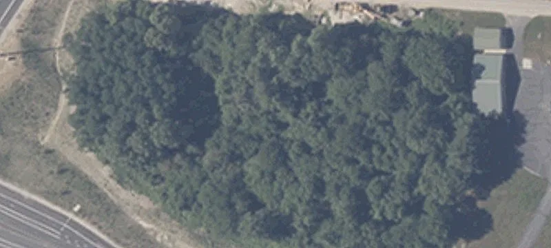 R 44