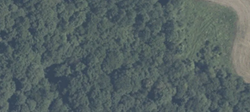 218 Us 31