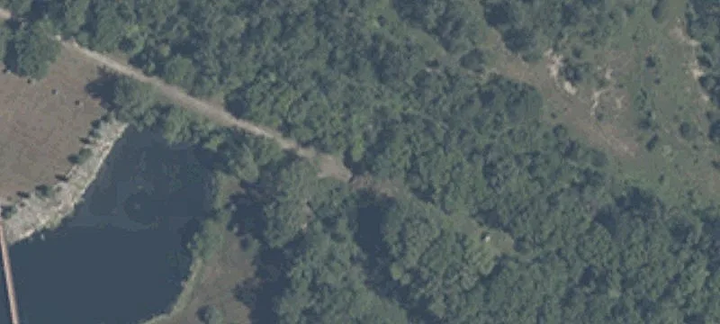 218 Us 31
