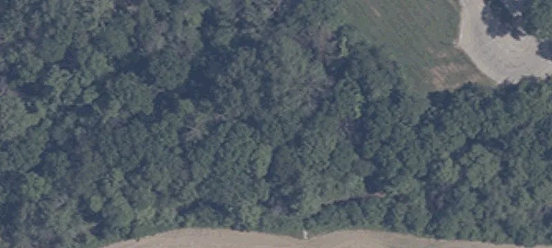 Scepter Rd