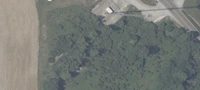 Us 231