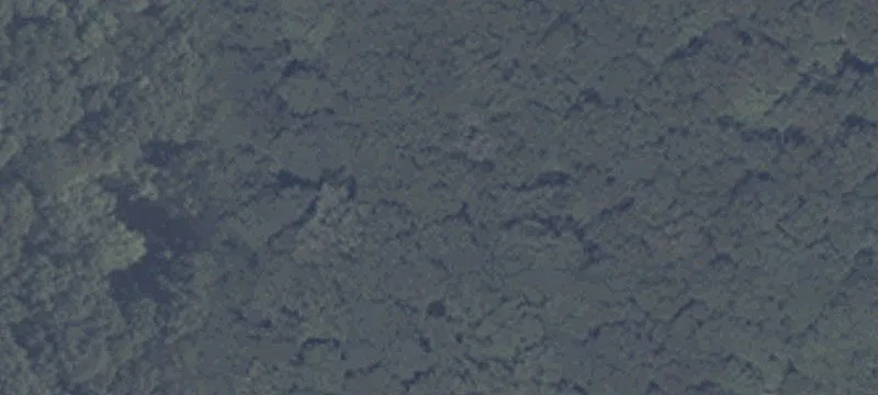 Burch Rd