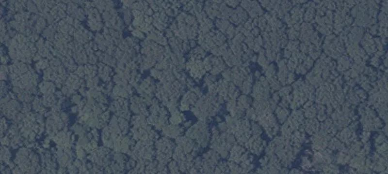 Nn Cr 25th Ee