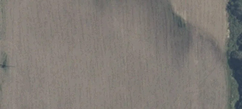 Progress Dr