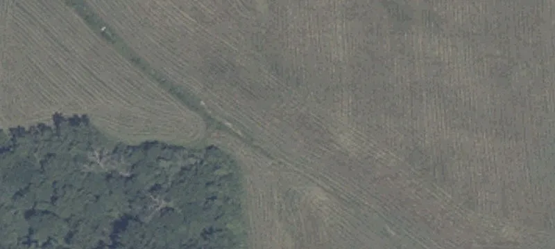 State Rd 135