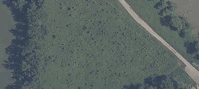 Us 50