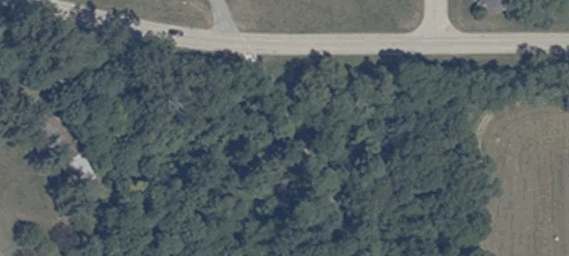 Lions Dr