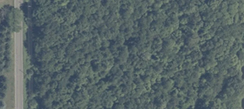 Us 20