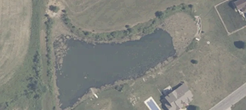 Pond Area Timberlake Woods